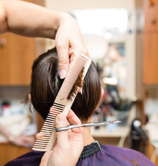 Fototapeta premium Female haircut with scissors in the beauty salon