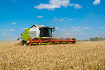 Combine harvester works at wheat field, Russia