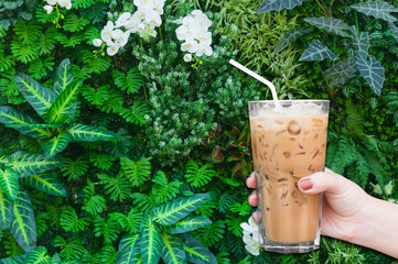 woman hand holding the glass iced coffee on green nature background,Iced latte coffee