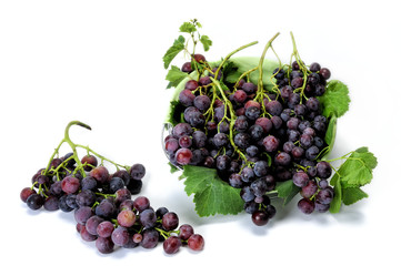 Red grapes on white background.