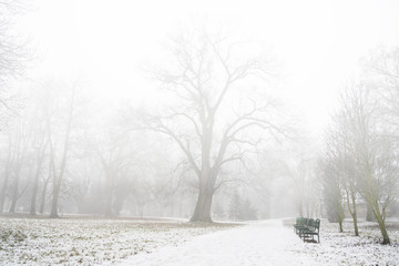 Heavy fog in the park after the first snow in december