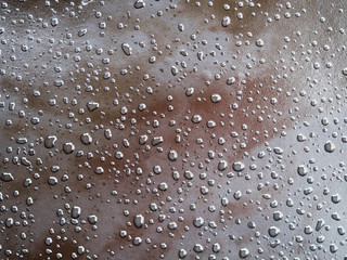 Water drops on a brownish gray skin. Wet leather texture with light. Abstract background. Upholstery, brown leather flooring. Rain drops. Selective focus