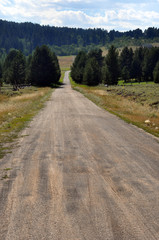 Fototapeta premium Rural Dirt Road