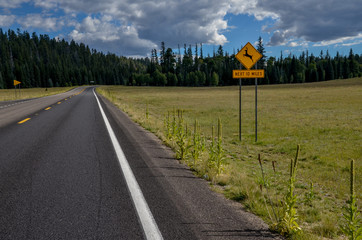 Deer Crossing sign on Grand Canyon Highway in Kaibab National Forest 
North Rim, Grand Canyon National Park, Cococino County, Arizona, USA 