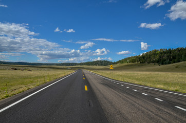 Grand Canyon Highway (AZ-67 route) route crossing vast subalpine grasslands on Kaibab plateau
North Rim, Grand Canyon National Park, Cococino County, Arizona, USA 