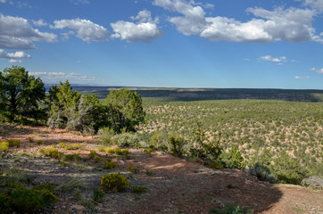 Fototapeta na wymiar Fork Willis Canyon overlook on Lefevre ridge Cococino County, Arizona, USA