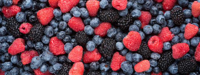 Mixed Summer Berries Panorama