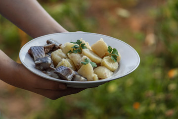 Boiled potatoes with slices of herring - second course