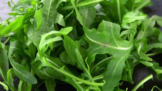 Portion of Arugula Salad rotating on a wooden plate (not loopale; 4K)