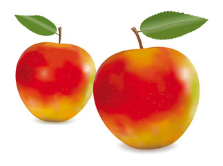 Red Apples with Green Leaves