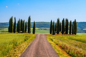 PIENZA, ITALY - MAY 21, 2017 - View of idyllic nature of the Natural Area of Val d'Orcia, Tuscany in spring season.
