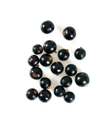 black currant isolated