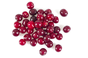 cherry isolated on white