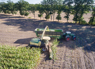 Maisernte im Herbst - Landtechnik auf dem Feld, Luftbild