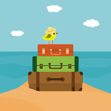 Little bird sitting on the stack of suitcases