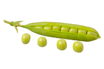 Green pea (Pisum sativum) on a white background
