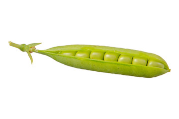 Green pea (Pisum sativum) on a white background
