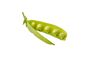 Green pea (Pisum sativum) on a white background