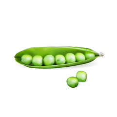 Vector realistic green peas on a white background