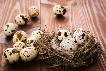 Quail eggs in nest and on a wooden table