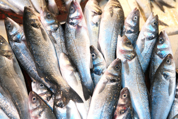 Fresh sea fish in market. Sea bass