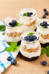 Healthy Greek Yogurt with Blueberries and Granola Parfait. Selective focus.