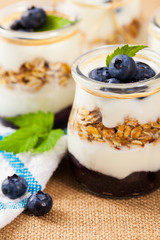 Healthy Greek Yogurt with Blueberries and Granola Parfait. Selective focus.