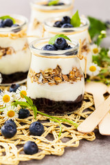 Greek Yogurt Dessert with Blueberries. Selective focus.