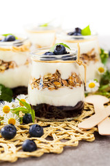 Greek Yogurt Dessert with Blueberries. Selective focus.