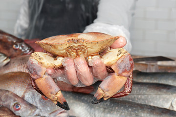 Seller holding fresh crab in fish supermarket