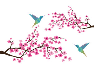 Fototapeta premium Cherry Blossom with Hummingbirds