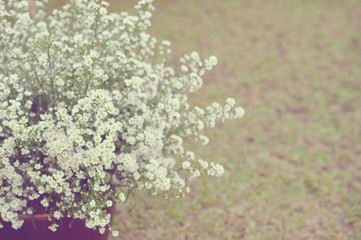wedding flower decoration 