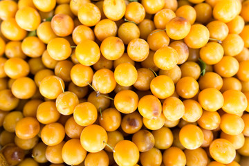 Fruits of yellow cherry plum as a background