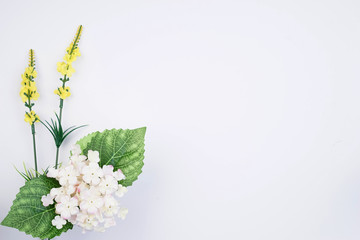 Flowers arrangement on a white background with copyspace. Spring floral concept.