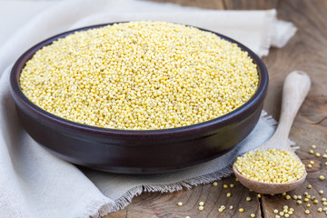 Organic millet groats in ceramic bowl, concept for healthy eating, horizontal