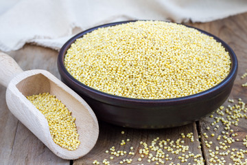 Organic millet groats in ceramic bowl, concept for healthy eating, horizontal