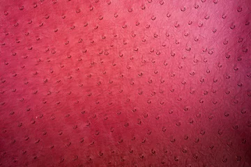 Wandaufkleber Hintergrund strukturiert aus Straußenleder © anankkml