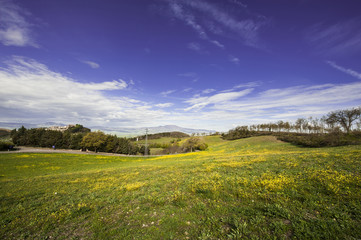 Fototapeta premium Italian landscape with Trevinano