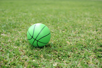 green plastic ball  ball on the grass.
