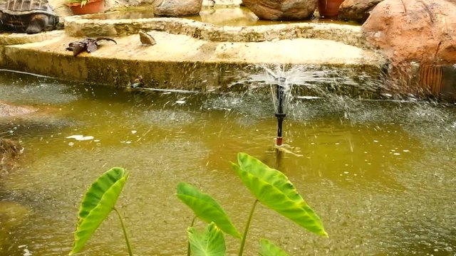 The fountain in the garden. Splashing water from a fountain in the garden.