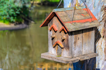 A wooden bird house hanging from a tree beside the Yarra River in Melbourne Australia