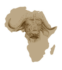 Map of Africa with drawn buffalo