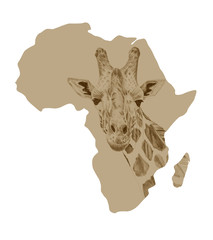Obraz premium Map of Africa with drawn giraffe
