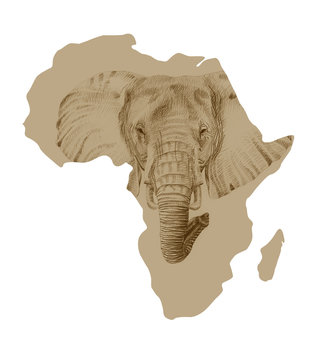 Map of Africa with drawn elephant