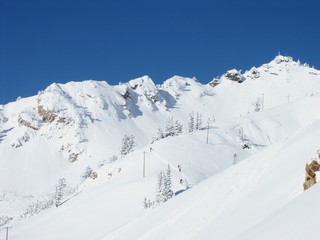 Fototapeta na wymiar Ski tour in the Wasatch Mountains