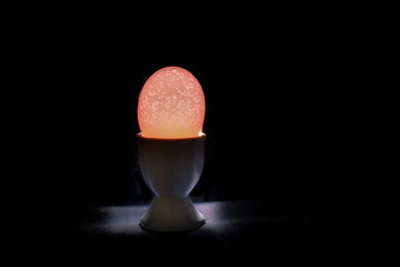 Egg - Life in your Hand