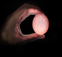 Egg - Life in your Hand