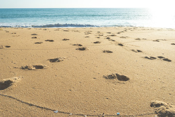 Footprints on the sand