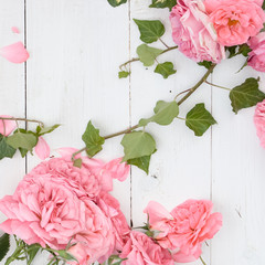 Romantic pink roses and branches of ivy on white wooden background