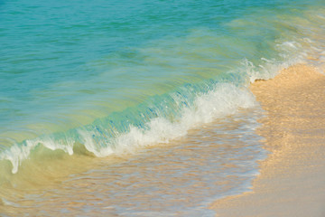 Soft wave of the sea on the sandy beach